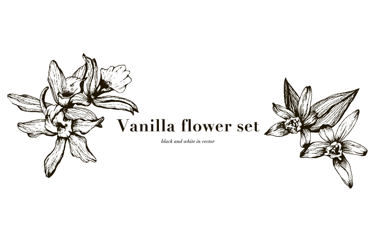 Free Vanilla Flowers Set