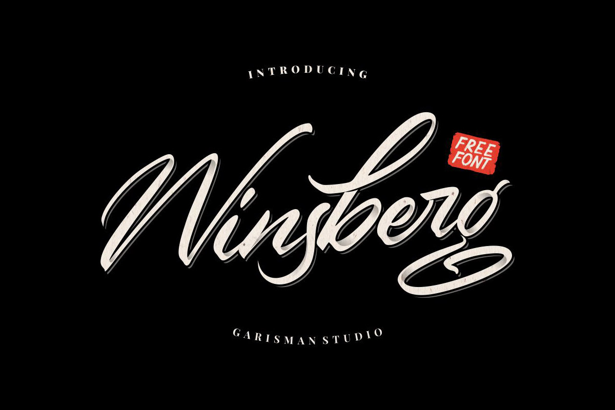 Winsberg Handlettering Script Font