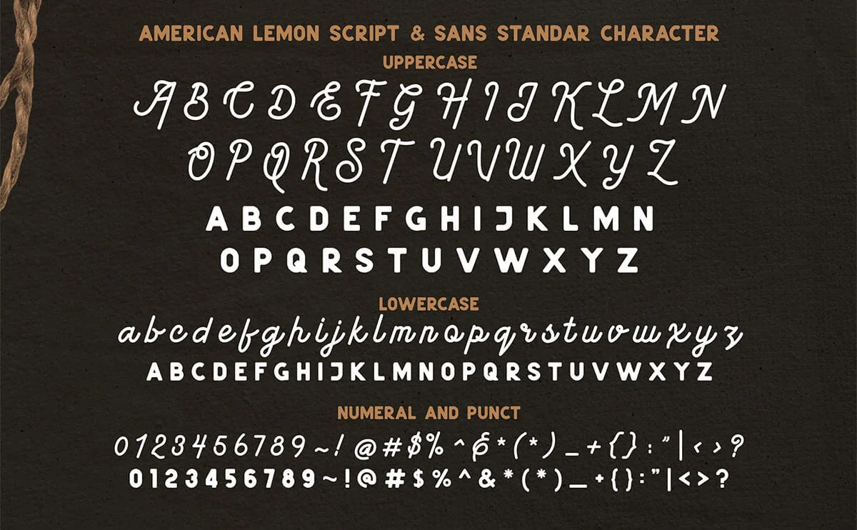 American Lemon Script Font Preview 4