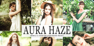 Free Aura Haze Lightroom Preset