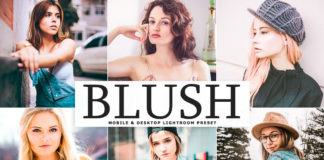 Free Blush Lightroom Preset