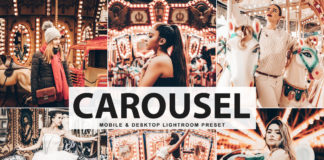 Free Carousel Lightroom Preset