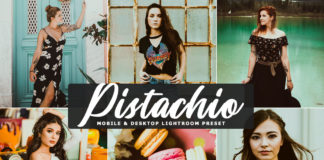 Free Pistachio Lightroom Preset