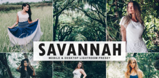 Free Savannah Lightroom Preset