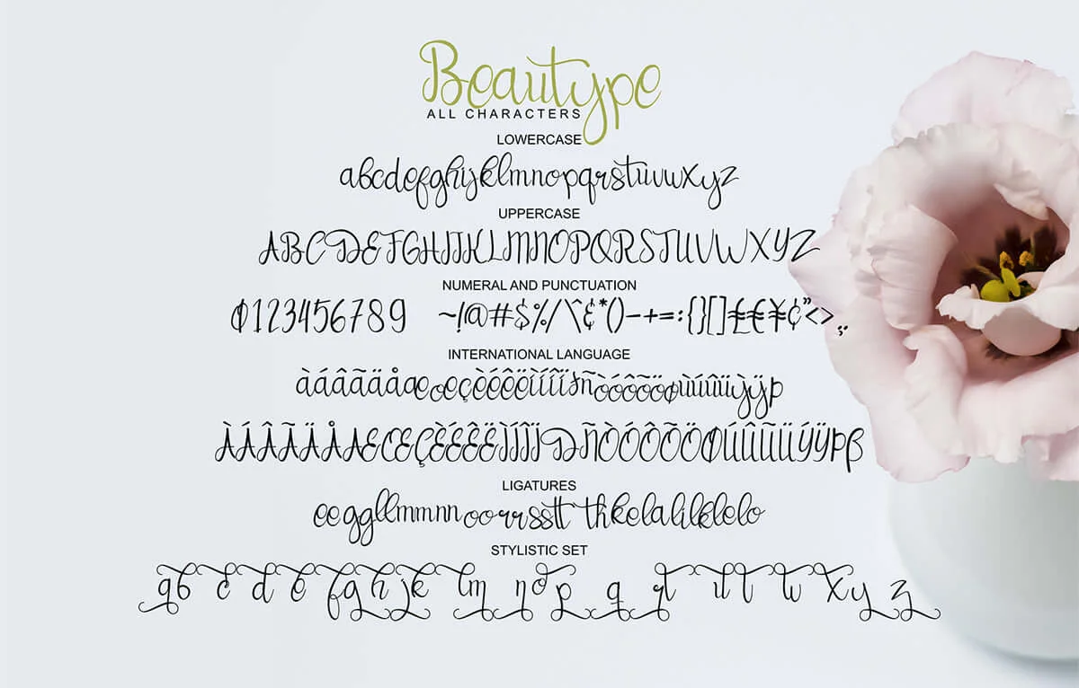 Beautype Script Font Preview 7
