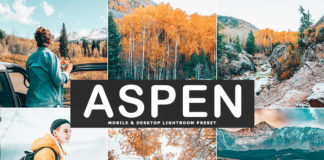 Free Aspen Lightroom Preset
