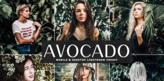 Free Avocado Lightroom Preset