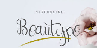 Free Beautype Script Font