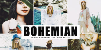 Free Bohemian Lightroom Preset