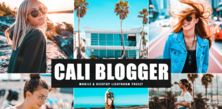 Free Cali Blogger Lightroom Preset