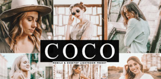Free Coco Lightroom Preset