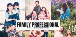 Free Family Professional Lightroom Preset