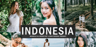 Free Indonesia Lightroom Preset