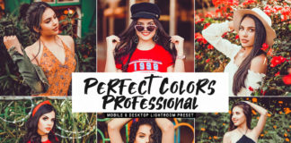 Free Perfect Colors Professional Lightroom Preset