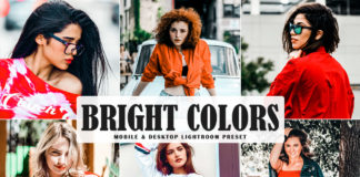 Free Bright Colors Lightroom Preset