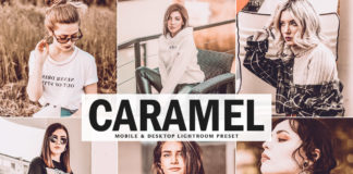 Free Caramel Lightroom Preset