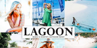 Free Lagoon Lightroom Preset