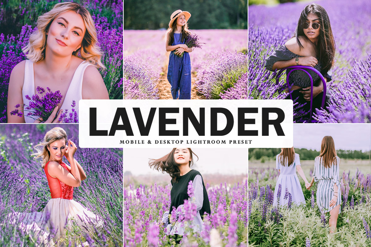 Free Lavender Lightroom Preset