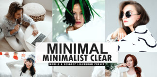 Free MINIMAL Minimalist Clear Lightroom Preset