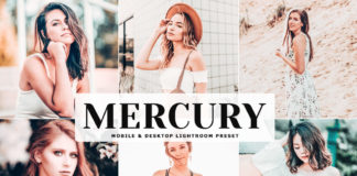 Free Mercury Lightroom Preset