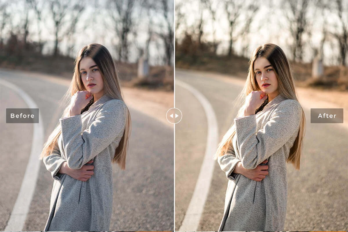 Muted Lightroom Preset Preview 3