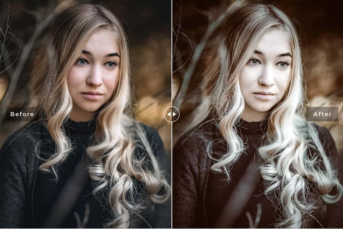 Dramatic Lightroom Preset Preview 4
