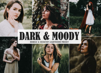 Free Dark & Moody Lightroom Preset