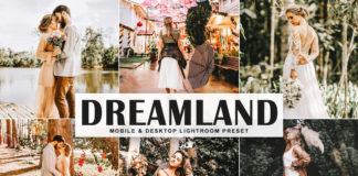 Free Dreamland Lightroom Preset