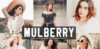 Free Mulberry Lightroom Preset