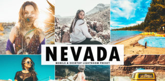 Free Nevada Lightroom Preset