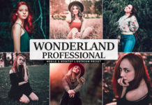 Free Wonderland Pro Lightroom Preset