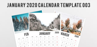 Free 2020 Calendar Printable Template 003