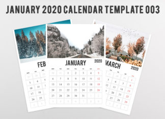 Free 2020 Calendar Printable Template 003