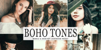 Free Boho Tones Lightroom Preset