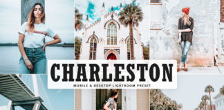 Free Charleston Lightroom Preset