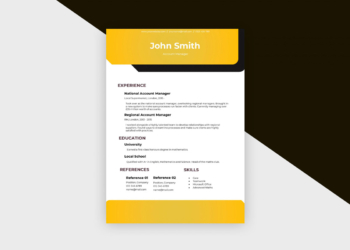 Free Resume Account Manager II Template