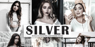 Free Silver Lightroom Preset