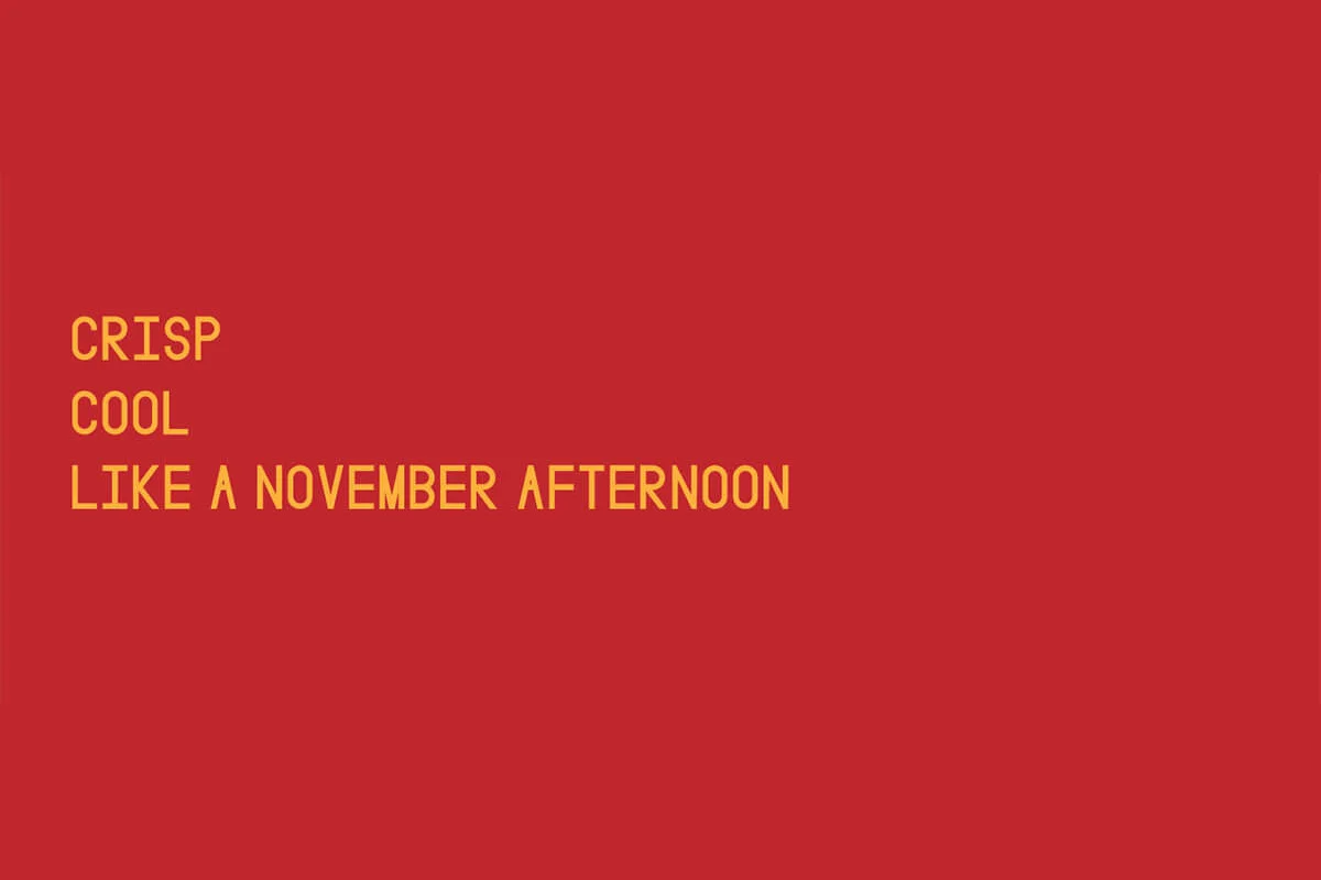 November Sans Display Font Preview 2