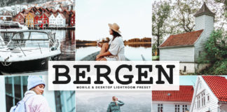 Free Bergen Lightroom Preset