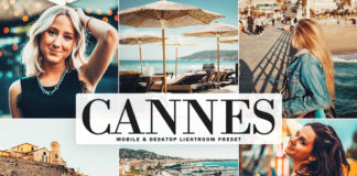 Free Cannes Lightroom Preset