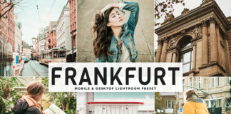 Free Frankfurt Lightroom Preset