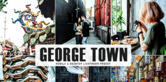 Free George Town Lightroom Preset