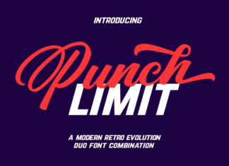 Free Punch Limit Script Font