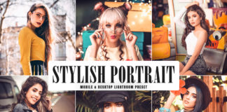 Free Stylish Portrait Lightroom Preset