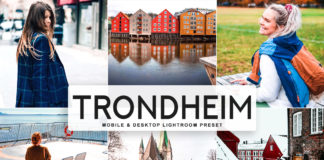 Free Trondheim Lightroom Preset