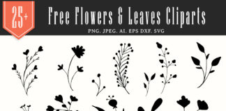 Download Hand Drawn Flower Archives Creativetacos