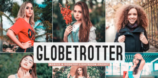 Free Globetrotter Lightroom Preset