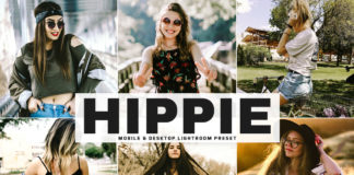 Free Hippie Lightroom Preset