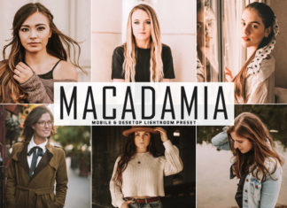Free Macadamia Lightroom Preset