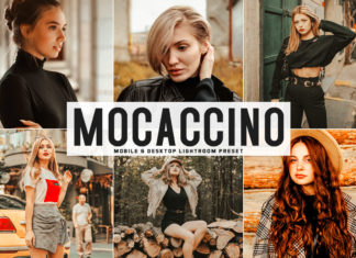 Free Mocaccino Lightroom Preset